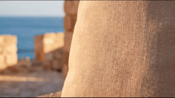 Alicante GIF by gentedealicante