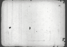 Shroedinbug GIF