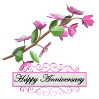 Happy Anniversary Flowers GIF