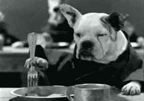 hungry dogs GIF