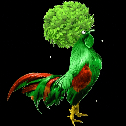 Comercial Gallo Verde GIF