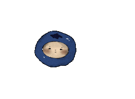 Wink Fruit Sticker
