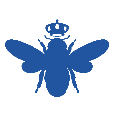 bombas Sticker