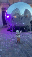 200.gif?cid=fc005b0882753c423907e6bc4c757a60b28a761fe5757307&rid=200.gif&ct=g