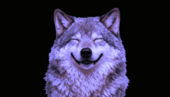 Dancing Wolf GIF by Wolfpack Digital