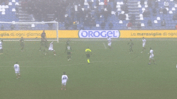 Serie A Football GIF by Cagliari Calcio