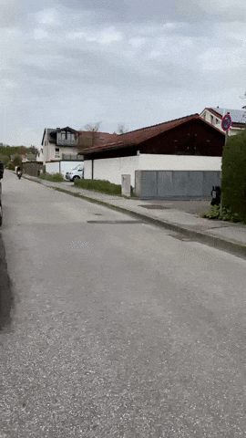 Gordon Rosenheim GIF by socialPALS