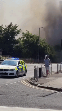Grass Fire Threatens East London Homes Amid Record-Breaking Heat