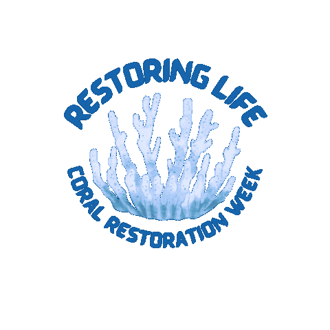 Open Water Bubbles Sticker by Blue Corner Dive Bali