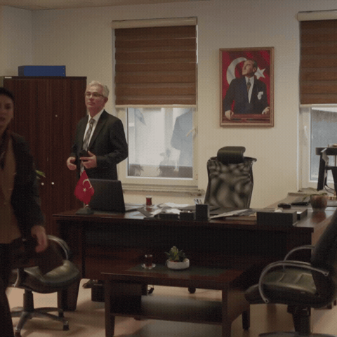 Rojbinerden GIF