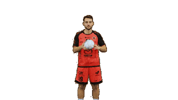 Handball Dragon Sticker by HCCA