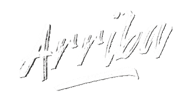 Den Haag Party Sticker by LLUXXALL