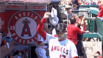 Los Angeles Sport GIF by MLB