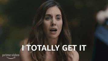 I Understand Alison Brie GIF by Amazon Prime Video