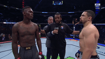 Fight Game GIF by ESPN