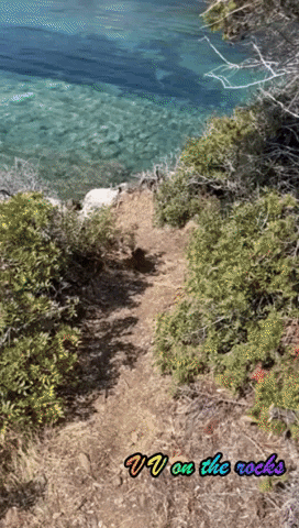 Rock GIF