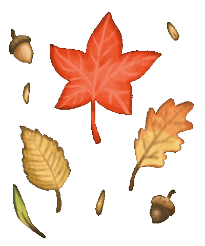 Falling Leaves Fall Sticker