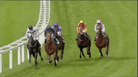Ascot Racecourse Gif Find Share On Giphy Ascot Racecourse Gif Find Share On Giphy