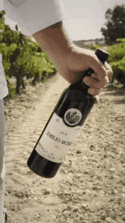 Bodegas Emilio Moro GIF