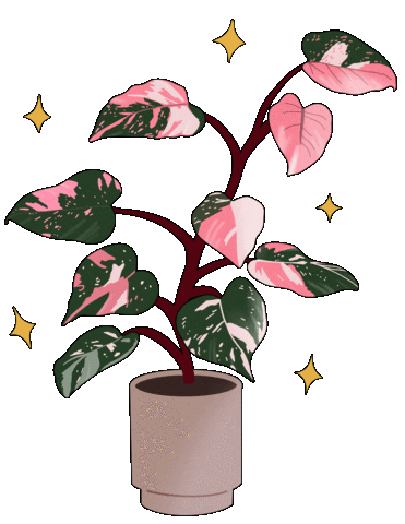 Pink Plant Lover Sticker by The Plant Doctors