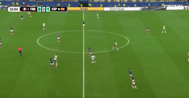 France GIF