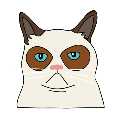 Cute Cat Stickers! by Stickers GIPHY