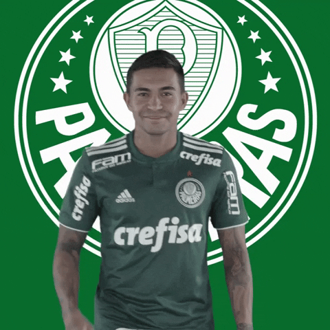 happy goal GIF by SE Palmeiras