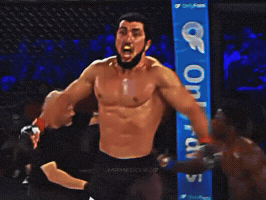 Mma GIF