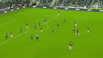 Fred GIF