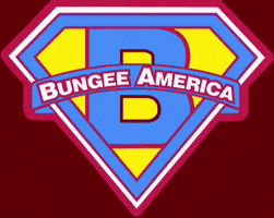 Bungee America GIF