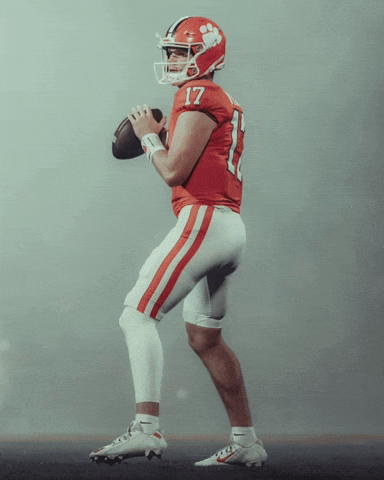Clemson Tigers Touchdown GIF