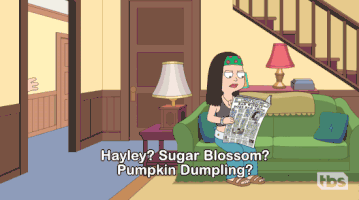 Stan Hayley GIF by American Dad
