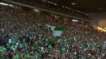 fans flag GIF by AS Saint-Etienne