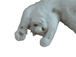 Bibou Sticker