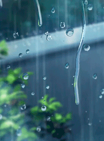Aesthetic Rain GIFs