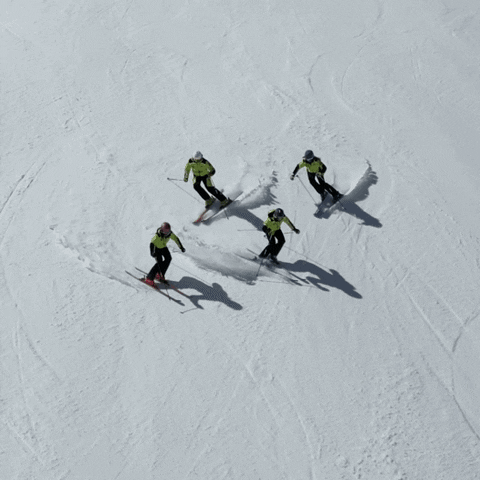 neveitalia winter skier neveitalia sciatori GIF