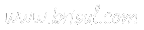Sticker by Bri Sul