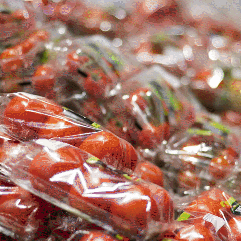 Shopping Environment GIF