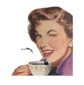 Coffee Gay Sticker by the Quack!