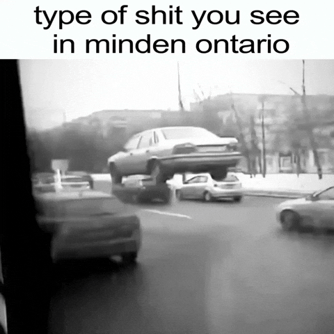 Canada Ontario GIF