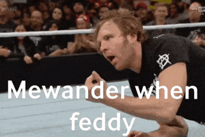 Mewander When Feddy GIF