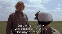 Dumb And Dumber Gag Gifs Get The Best Gif On Giphy Dumb And Dumber Gag Gifs Get The Best Gif On Giphy