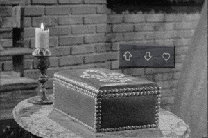 Imgur Favorite Gifs GIF by Imgur