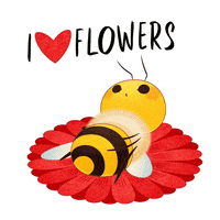 Best World Bee Day Gifs Primo Gif Latest Animated Gifs