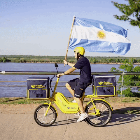 World Cup Argentina GIF by Correo Argentino