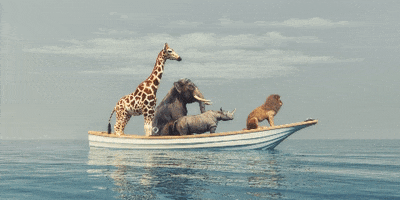 TheDigitalLeadersFund GIF