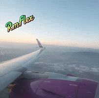 Plane Flight GIF by Vida es Primero