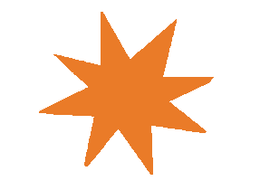 Shining Star Sticker by Joyce Jeroense