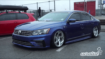 GIF by Curated Stance Club!