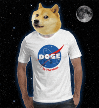 Doge Moon Gifs Get The Best Gif On Giphy